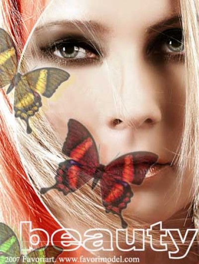 ������ tani favorimodel