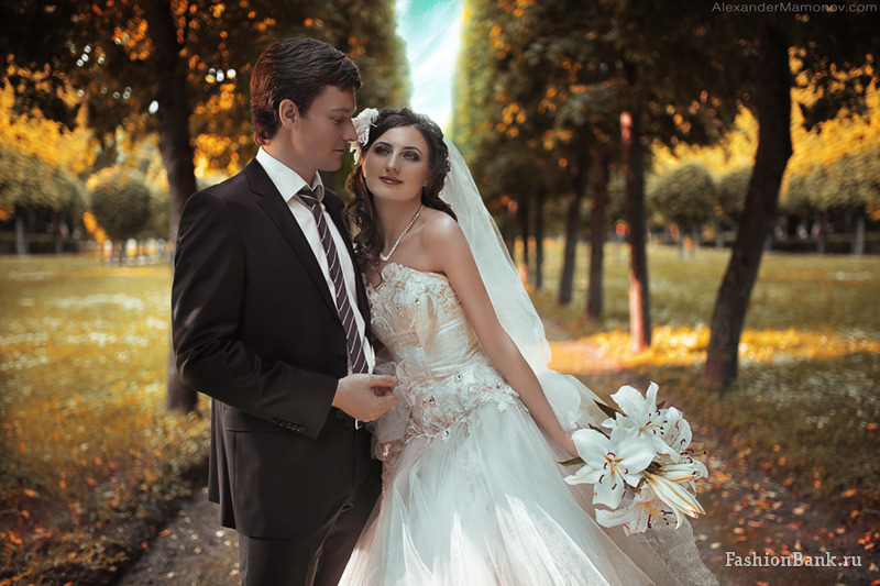  ��������� M