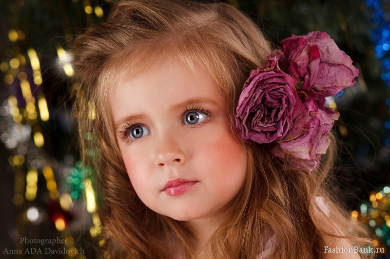  ����  ���������