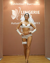 http://www.eroticsight.com/galleries/lingerie-expo.htm