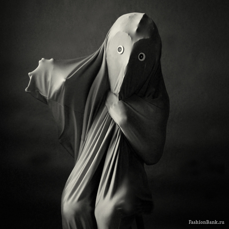  ALEX PUCH