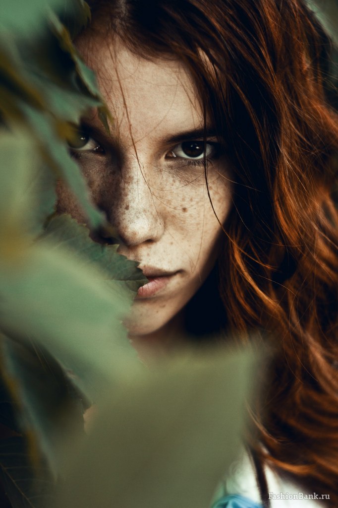  Dmitry Rollins