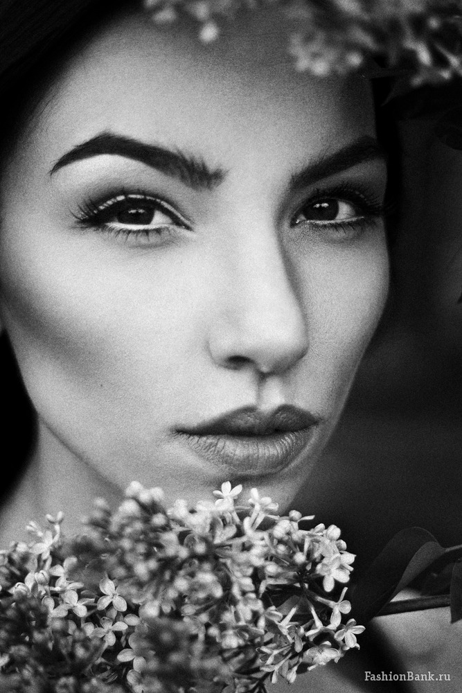  Dmitry Rollins