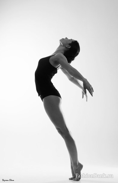  Elena Styrova