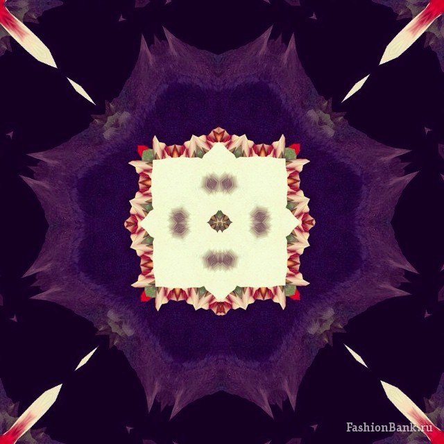  ���� ������