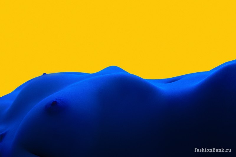  ���� ������