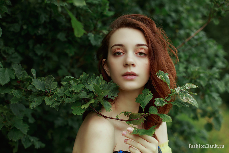  ��������� �������