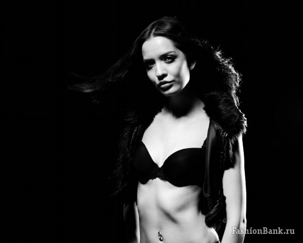  ���� Muse