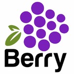   Berry Agency 