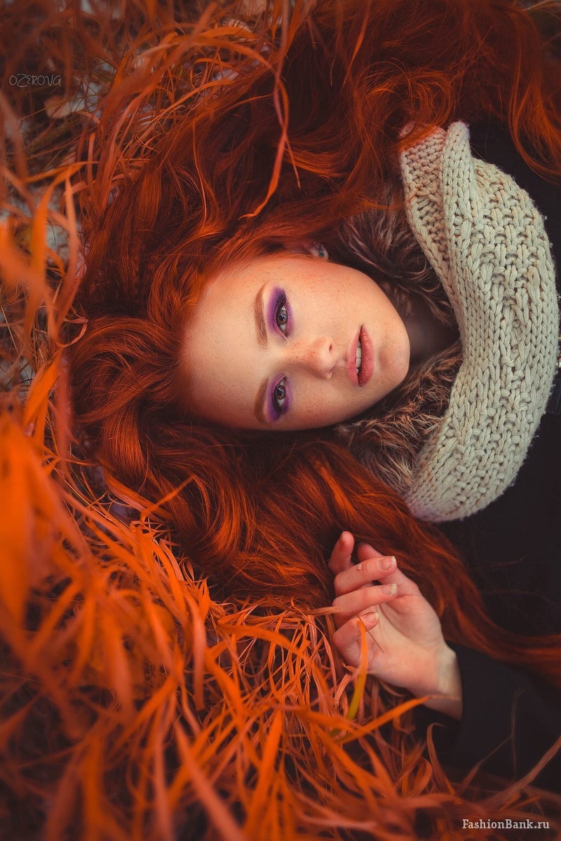  ����� ��������